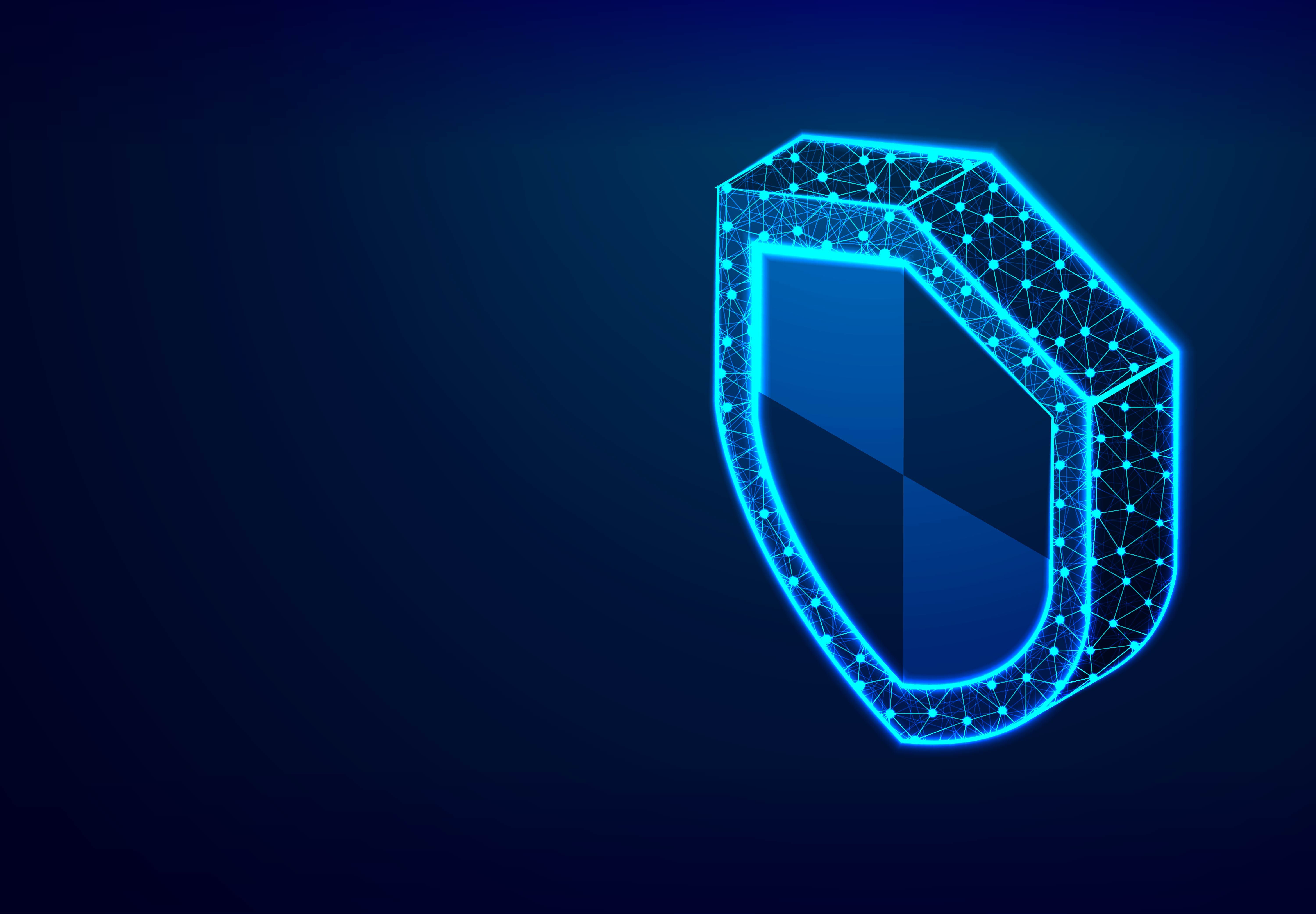 10 Steps to Domain Protection: Safeguarding from Domain Hijacking